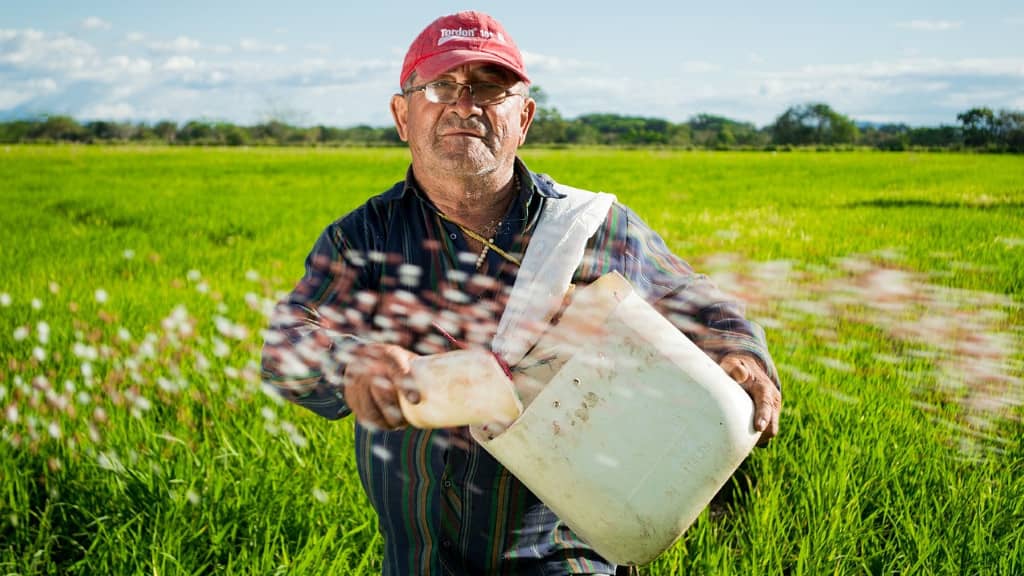 agriculteur hôte woofing