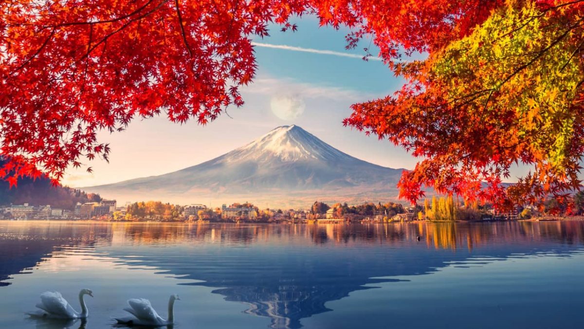 Les meilleurs spots pour admirer les cerisiers en fleurs au Japon