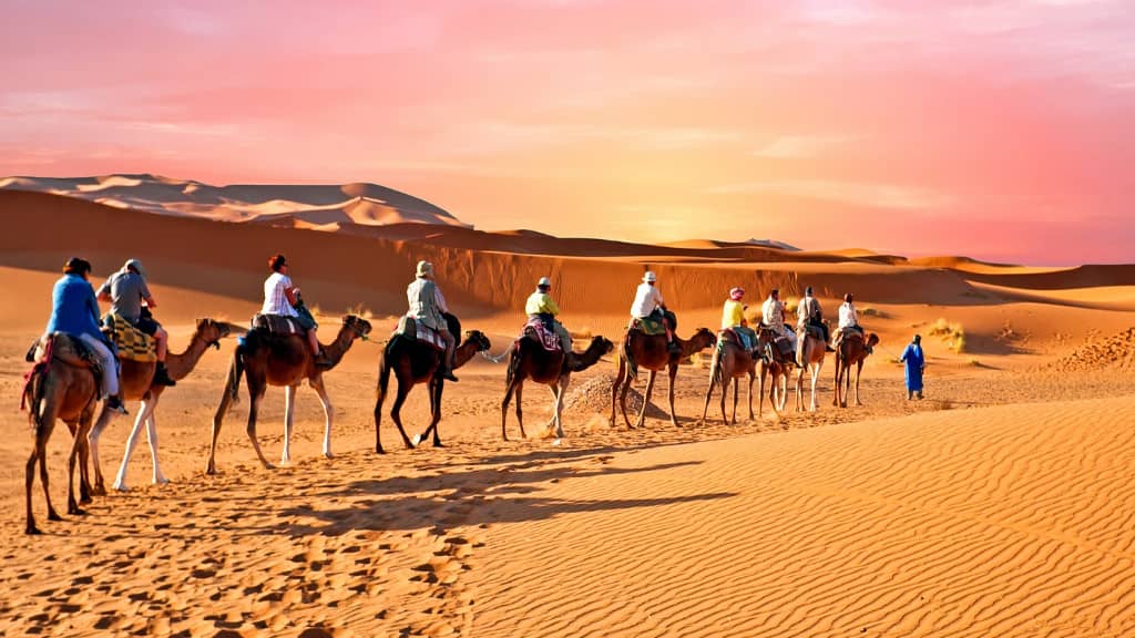 Faire en randonnée à dos de chameau dans le désert du Sahara au Maroc