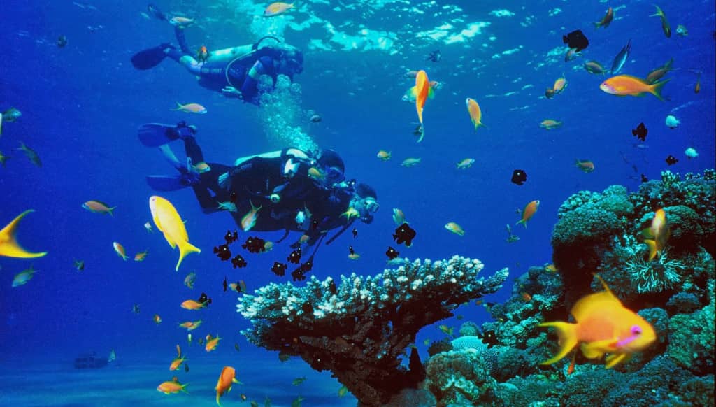 Faire de la plongée en Égypte un paradis pour les plongeurs