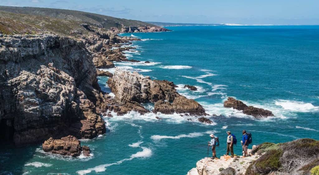 Randonnée du sentier des baleines en Afrique du Sud