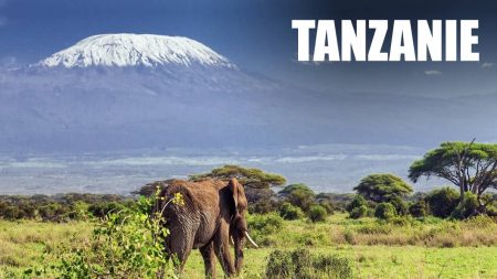 Voyage en Tanzanie