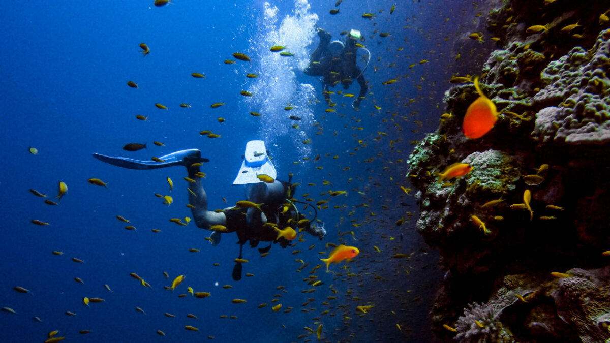 Plongée en France Les 5 sites incontournables pour les passionnées de plongée sous marine