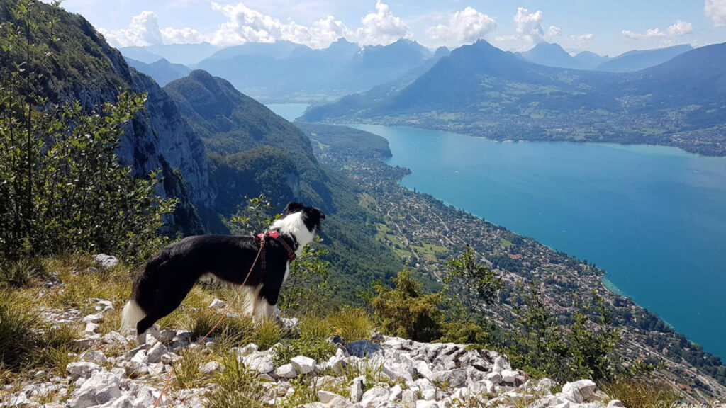 Randonnée Annecy