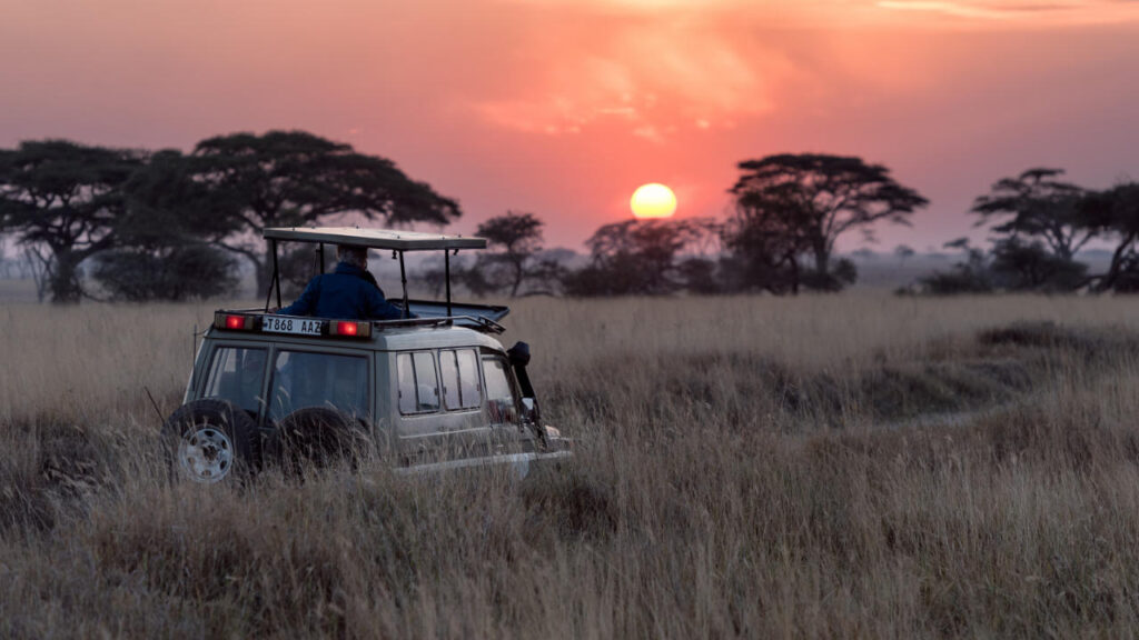 Parcs Nationaux Afrique du Sud