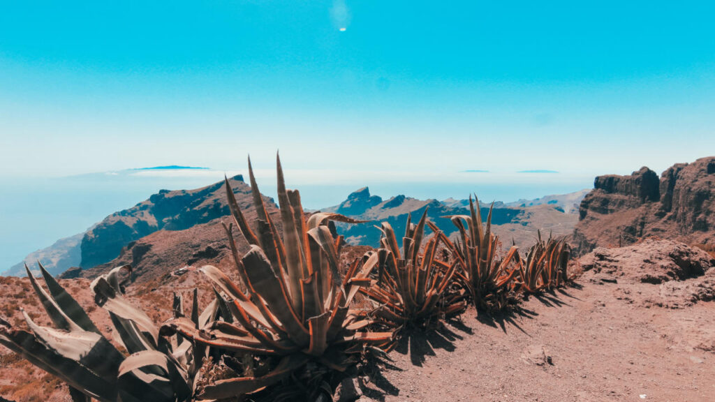 Tenerife - Les iles Canaries
