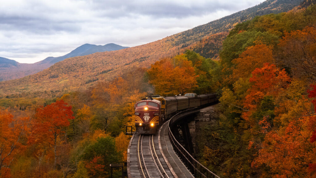 train ecologique