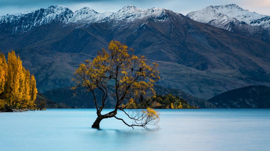 Wanaka - Nouvelle Zelande