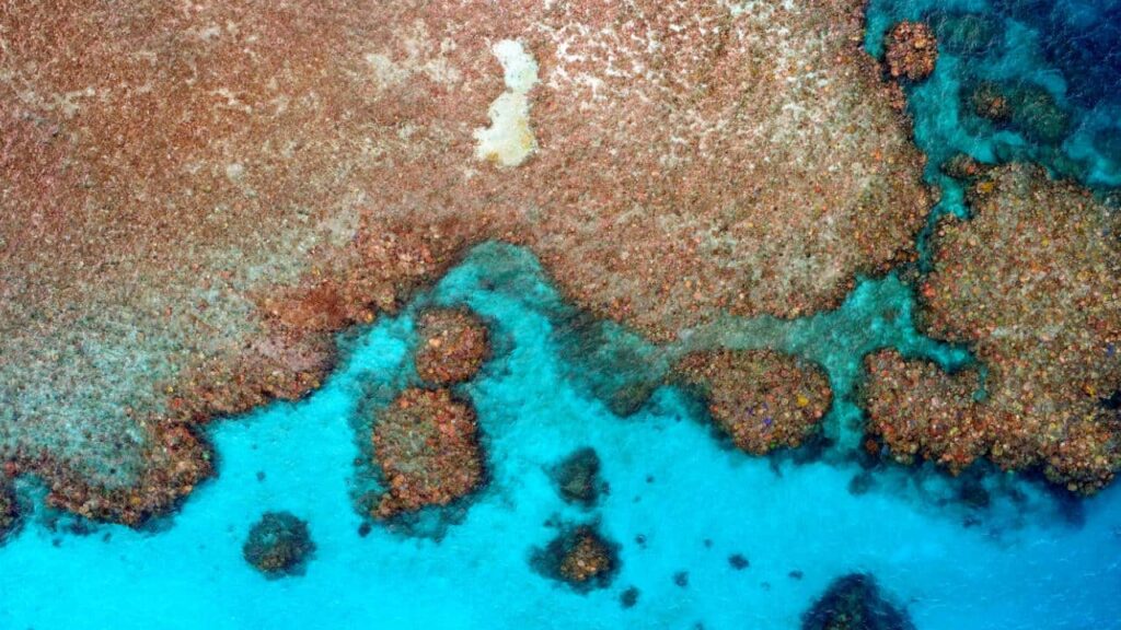 La grande barrière de corail