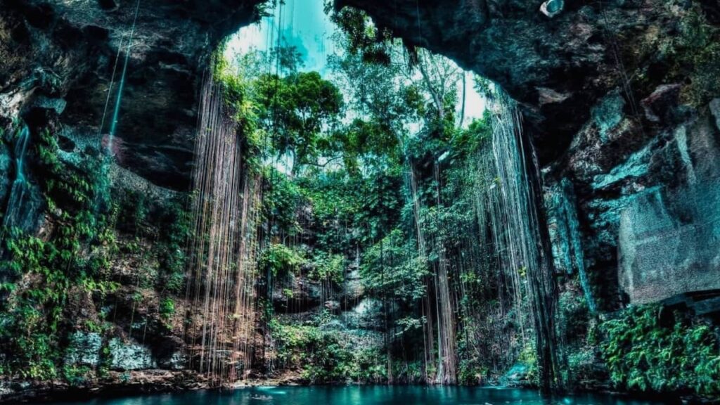 Cenotes du Yucatan Mexique