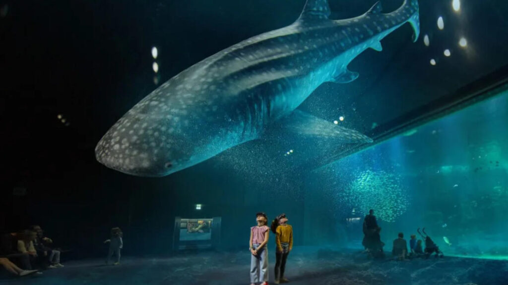 Le plus grand aquarium d’Europe