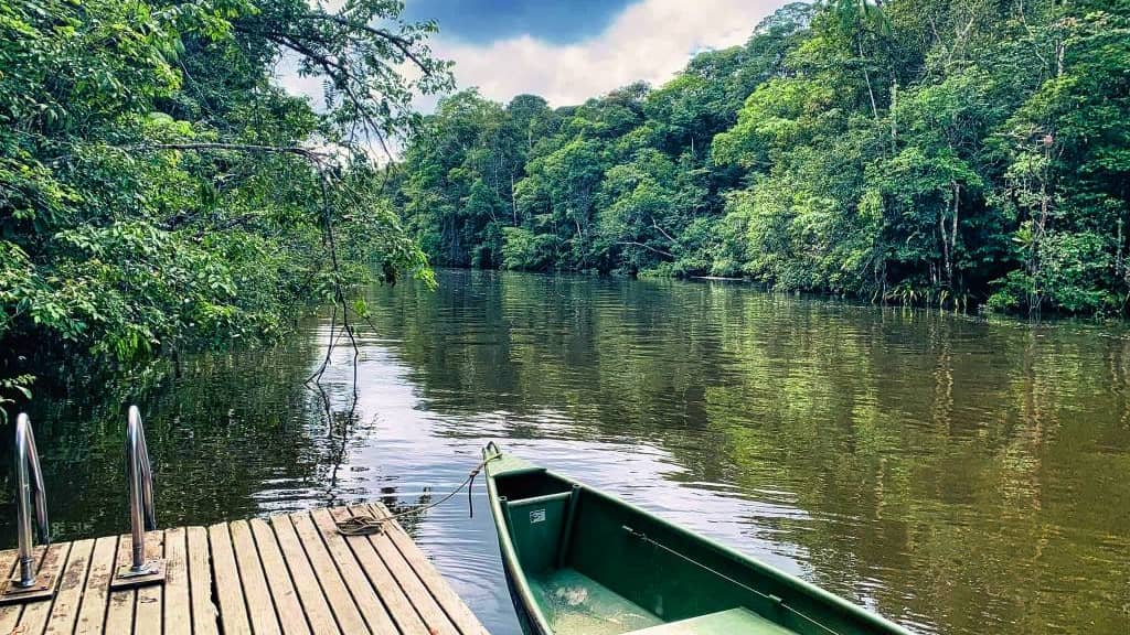 Guyane fleuve forêt voyage séjour