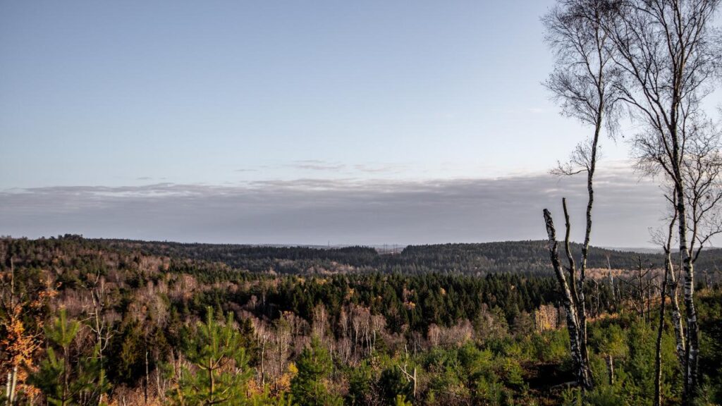 La réserve naturelle de Delsjön
