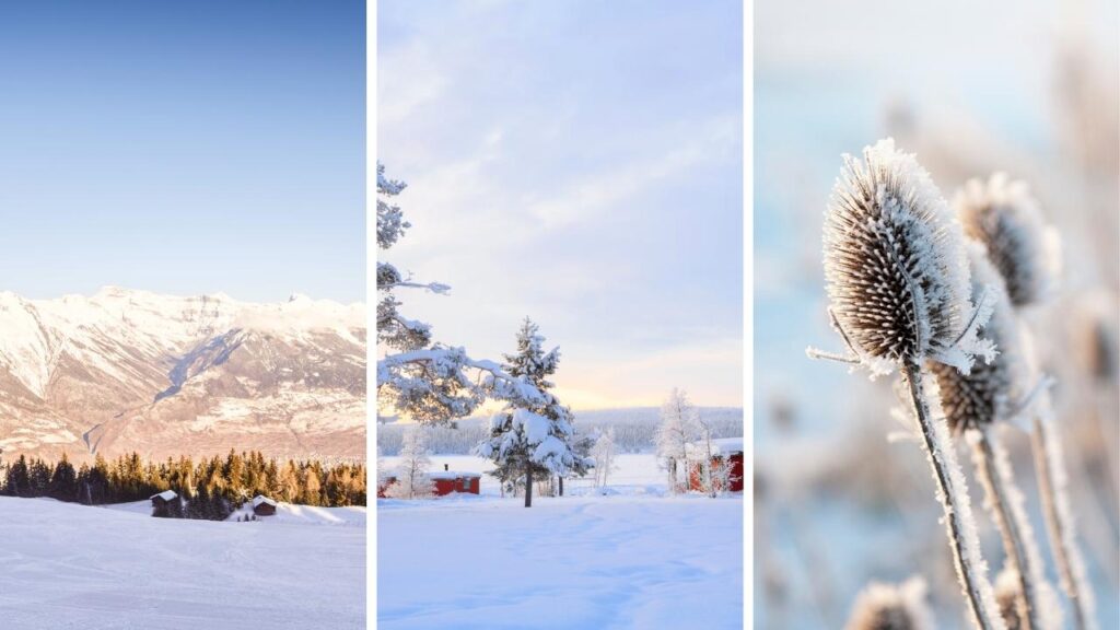 Paysage hivernale