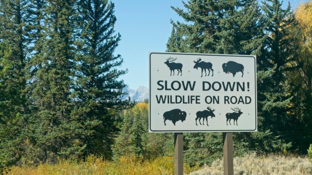 Slow Travel et Tourisme