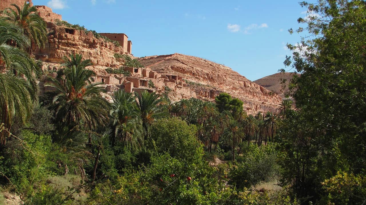 Latitude 36.443588 longitude 6.026489 forêt Ben Khalifa, Algérie