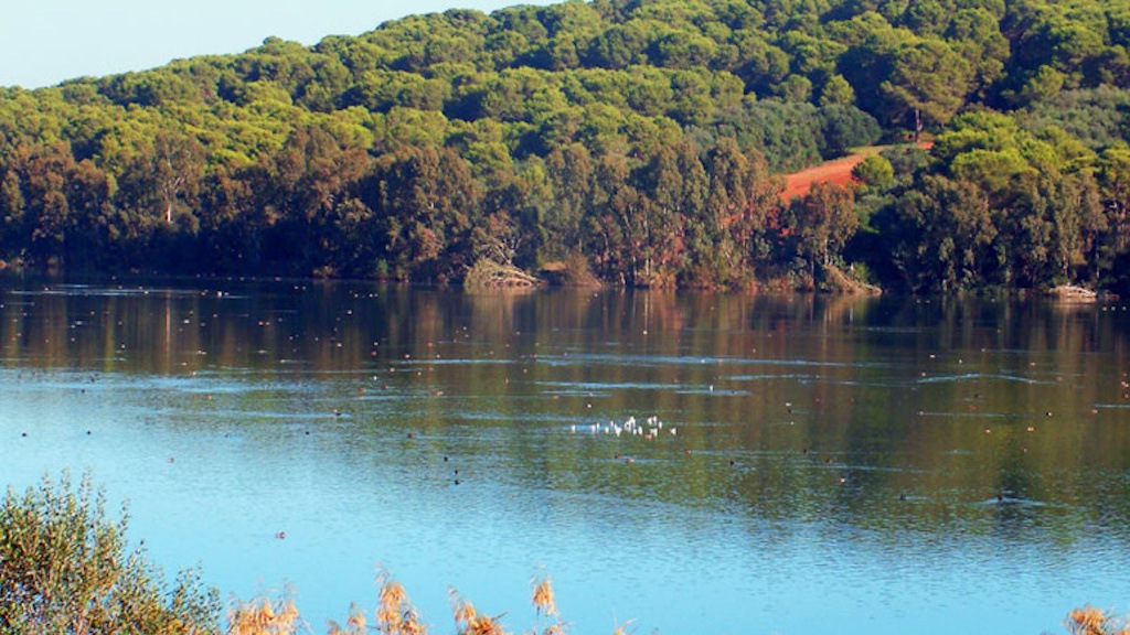 réserve naturelle de la Forêt de Zéralda en Algérie