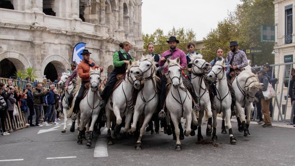 Feria des vendanges de Nîmes : où se garer sa voiture ?