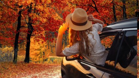 partir voyage novembre