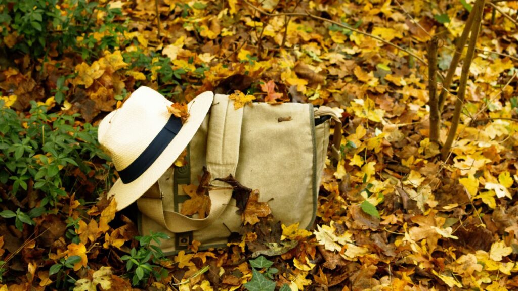 voyager en automne