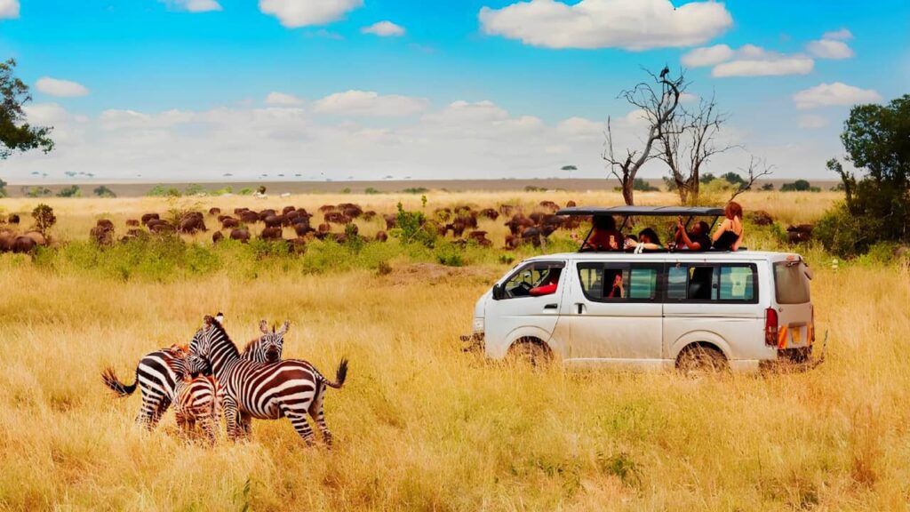 Préparer un safari en Tanzanie : 3 étapes essentielles