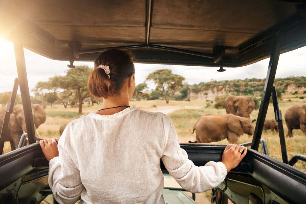 Préparer un safari en Tanzanie : étape 1