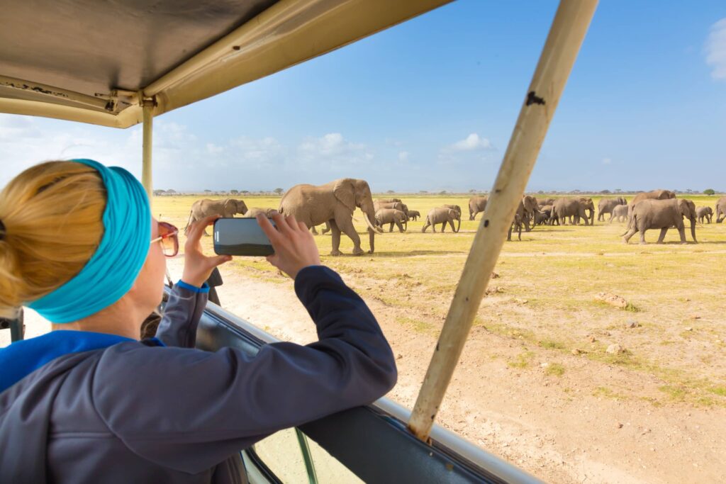Préparer un safari en Tanzanie : étape 3