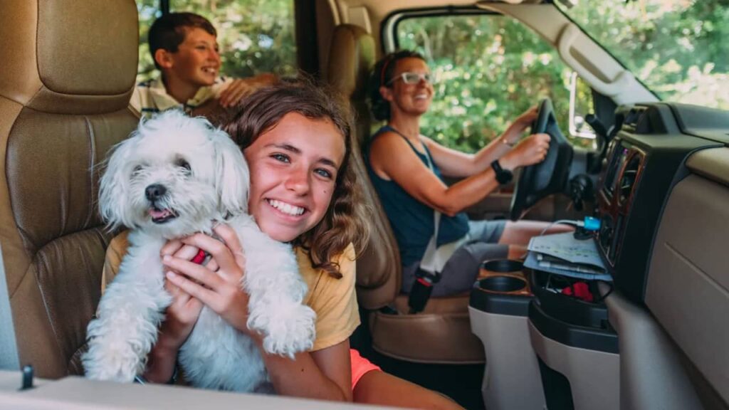 Road trip en famille avec un chien