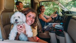 Road trip en famille avec un chien