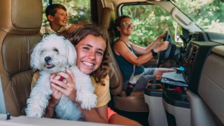 Road trip en famille avec un chien
