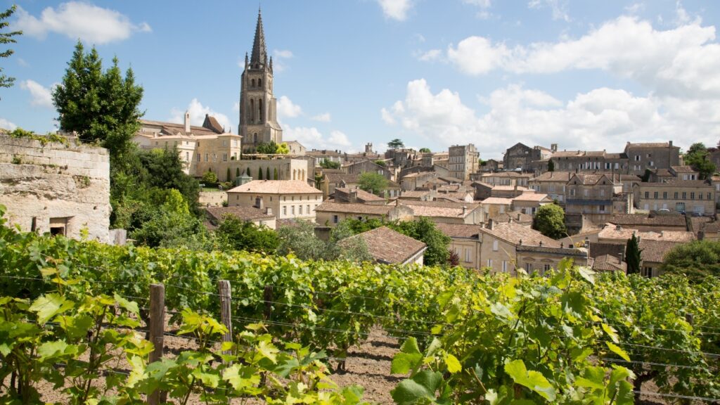 bordeaux vignes
