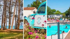 Camping L'Île aux Oiseaux : séjour près des marais salants en Vendée