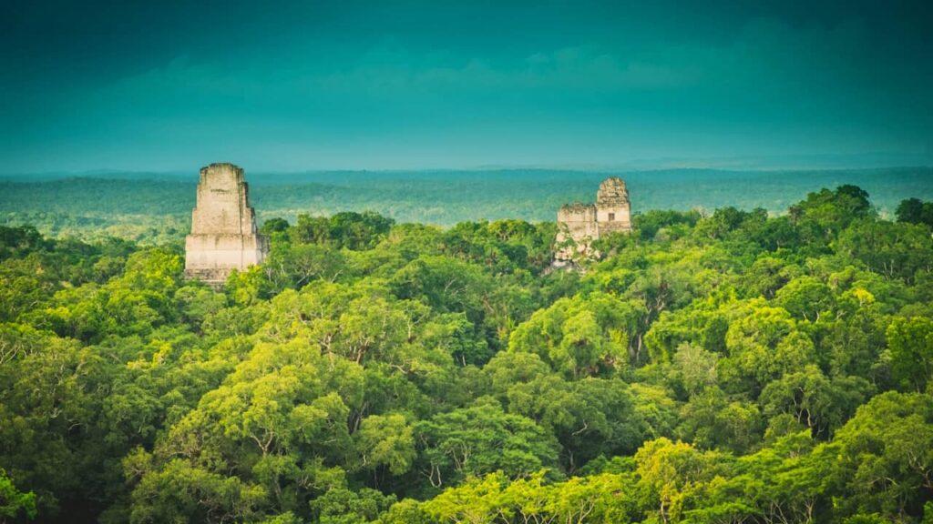Guatemala jungle