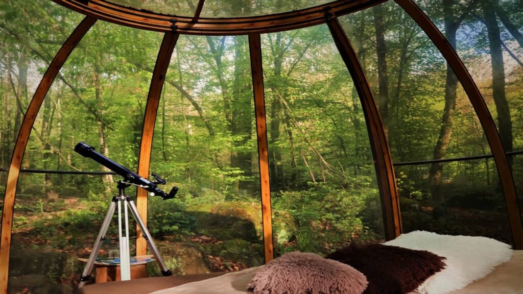 Hébergement insolite dans le Grand Est forêt dôme