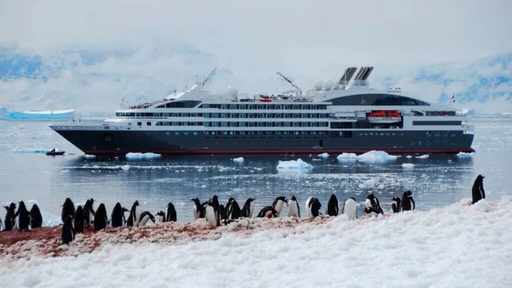 Meilleure période pour une croisière en Antarctique : tout ce qu’il faut savoir Meilleure période pour une croisière en Antarctique
