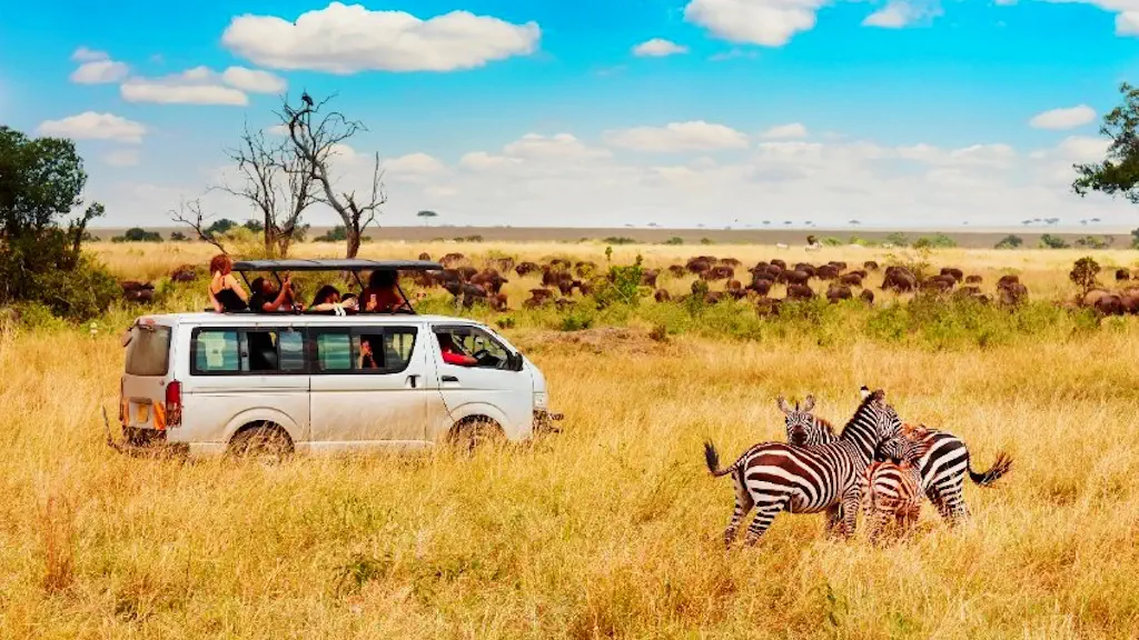 Kenya safari