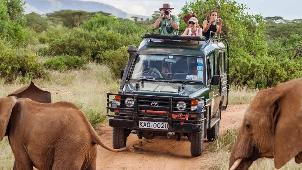 safari Kenya