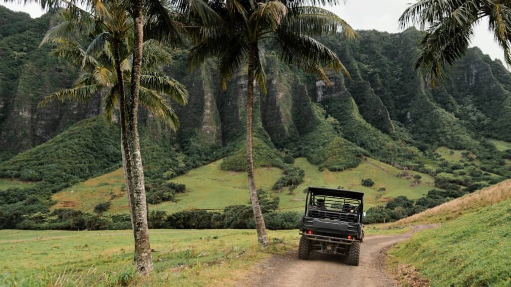 jeep nature