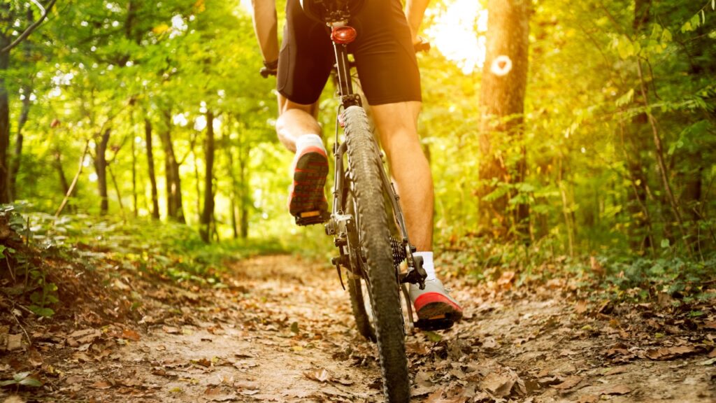 vtt