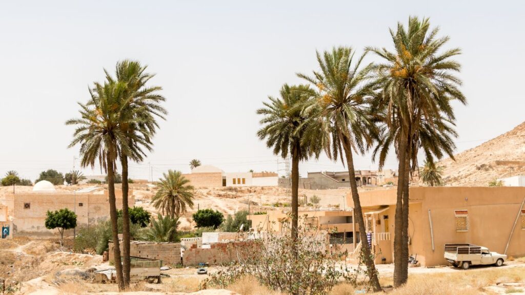 sahara