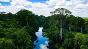 Congo Brazzaville : la dernière frontière verte de l'Afrique centrale