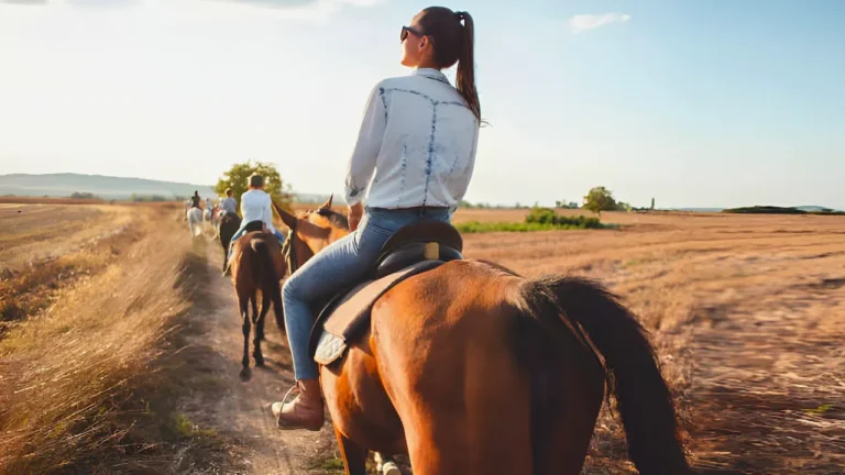 Tourisme équestre : comment préparer une randonnée à cheval inoubliable ? Tourisme équestre