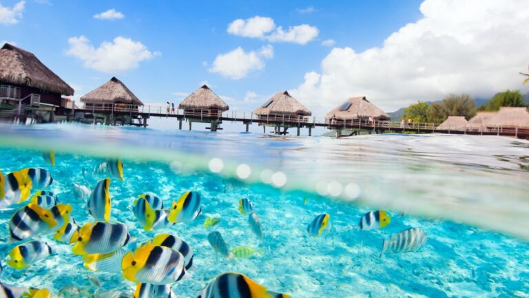Premier voyage en Polynésie française : quelles îles choisir selon ses envies ? voyage eau turquoise